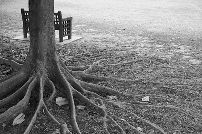Christophduepper Aujardin Singapore 001