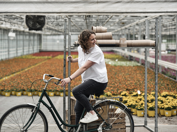 Lexware toni christophduepper 0043