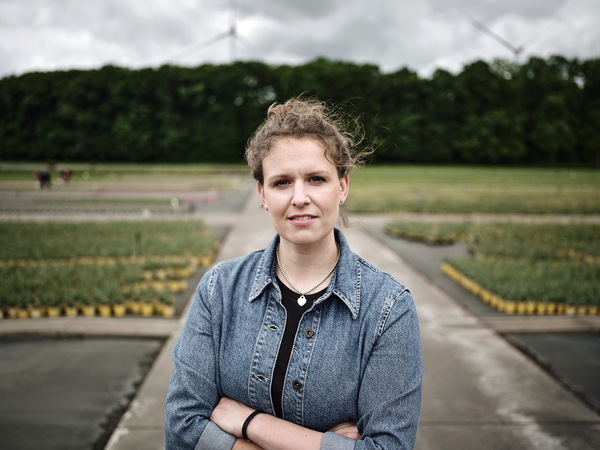 Lexware toni christophduepper 0044