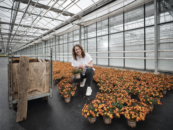 Lexware toni christophduepper 0047