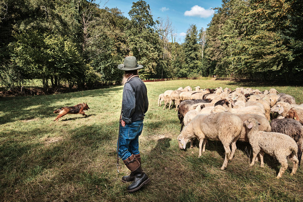 Christophduepper edgarengist 005