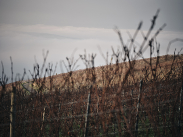 PNC christophduepper 1224 009