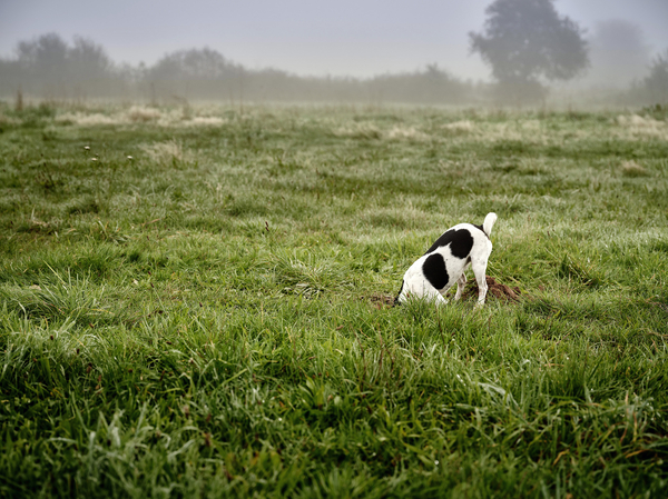 Christophduepper badenova web 0004