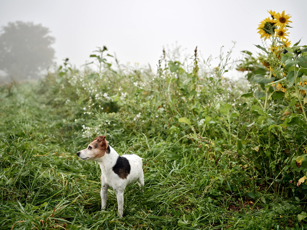 Christophduepper badenova web 0006
