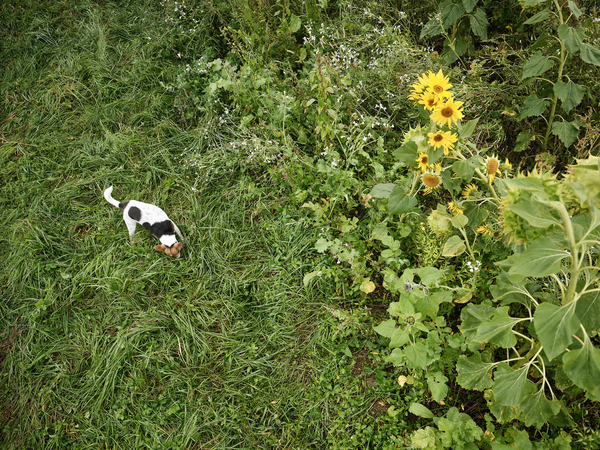 Christophduepper badenova web 0007