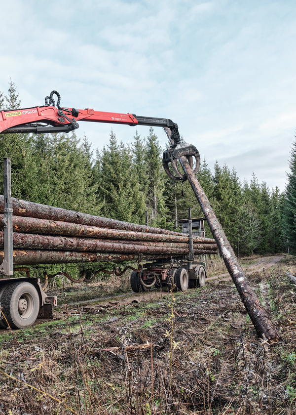 Christophduepper kaeferholz 003