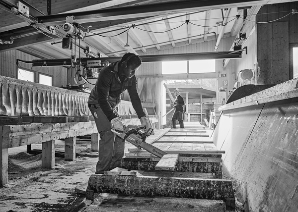 Christophduepper kaeferholz 005