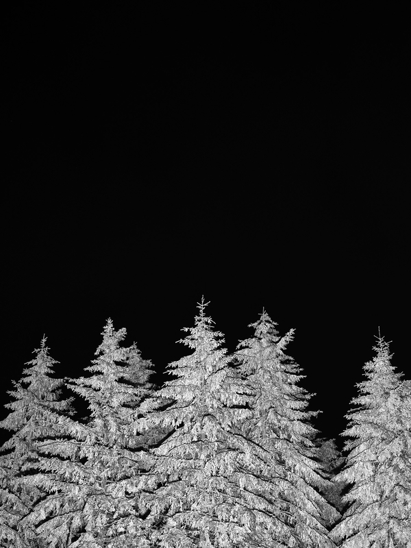 Christophduepper blackforest snow 010